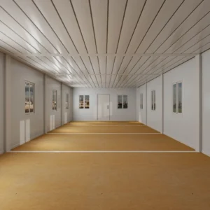 luxury container home design from China